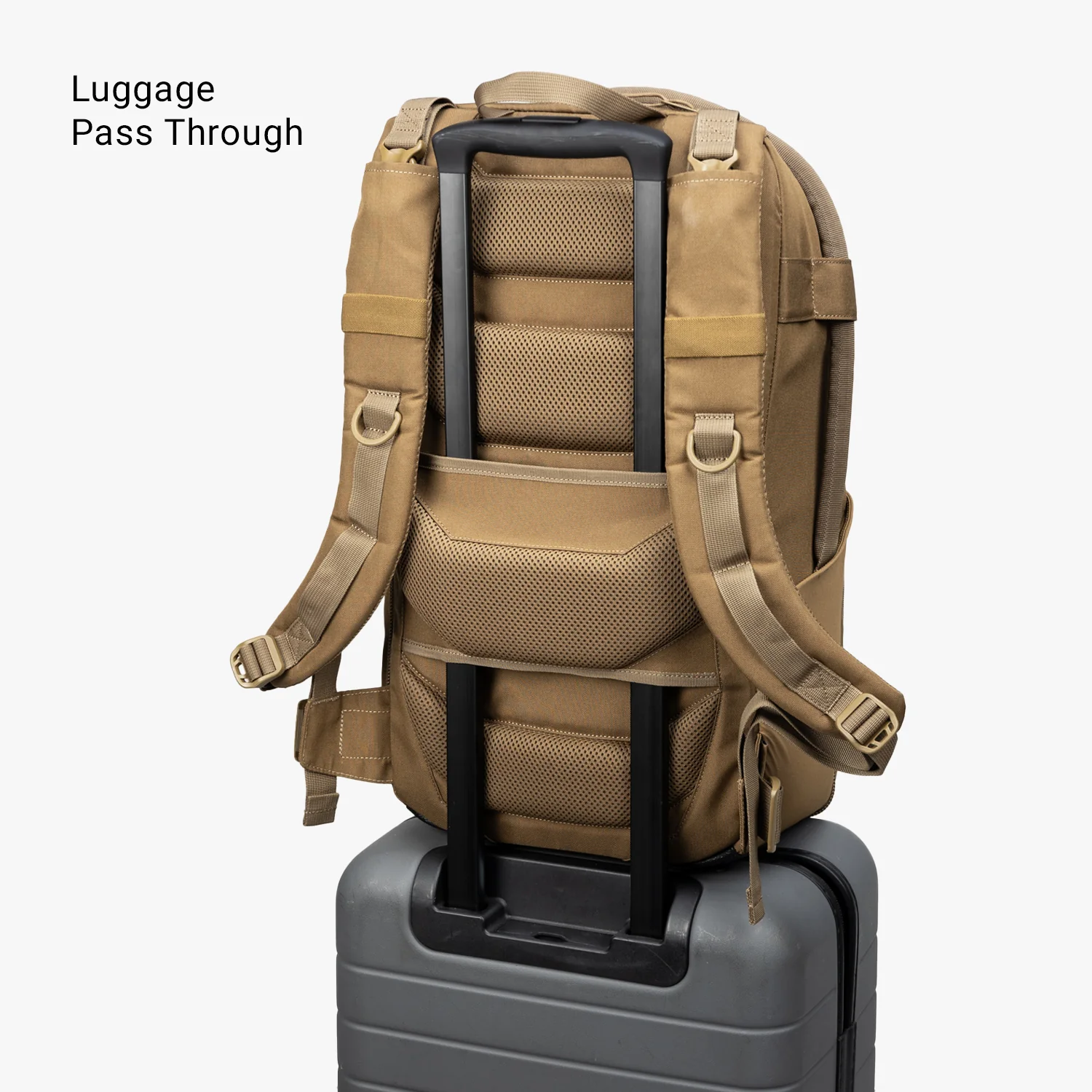 Thumbnail 51